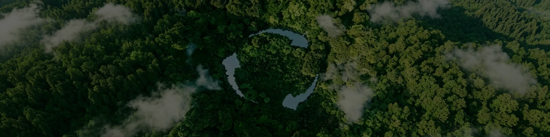 Forested landscape introducing Fuqiang's sustainability content